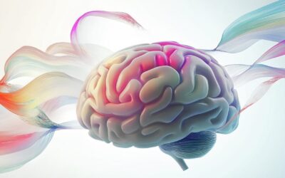 Warum Lernen nicht hängen bleibt – und wie du Wissen wirklich behältst